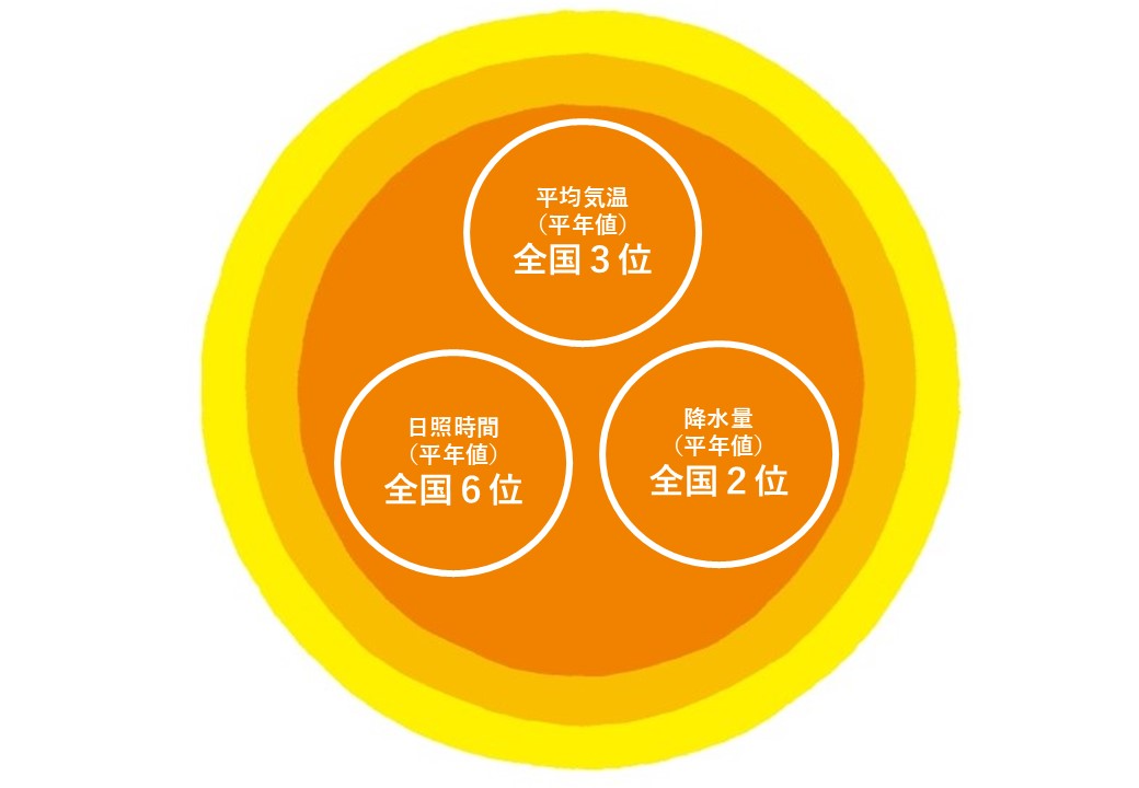 平均気温・日照時間・降水量