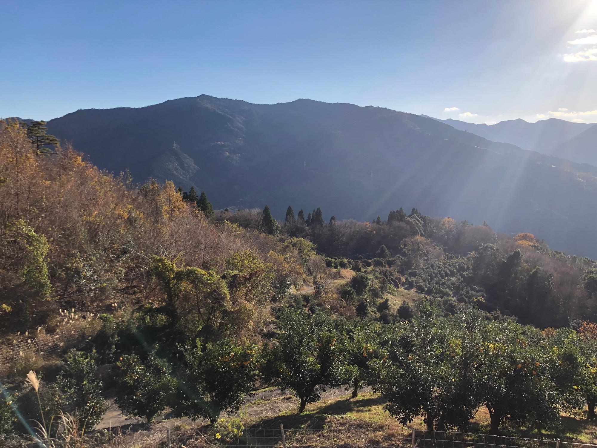ゆず団地の風景