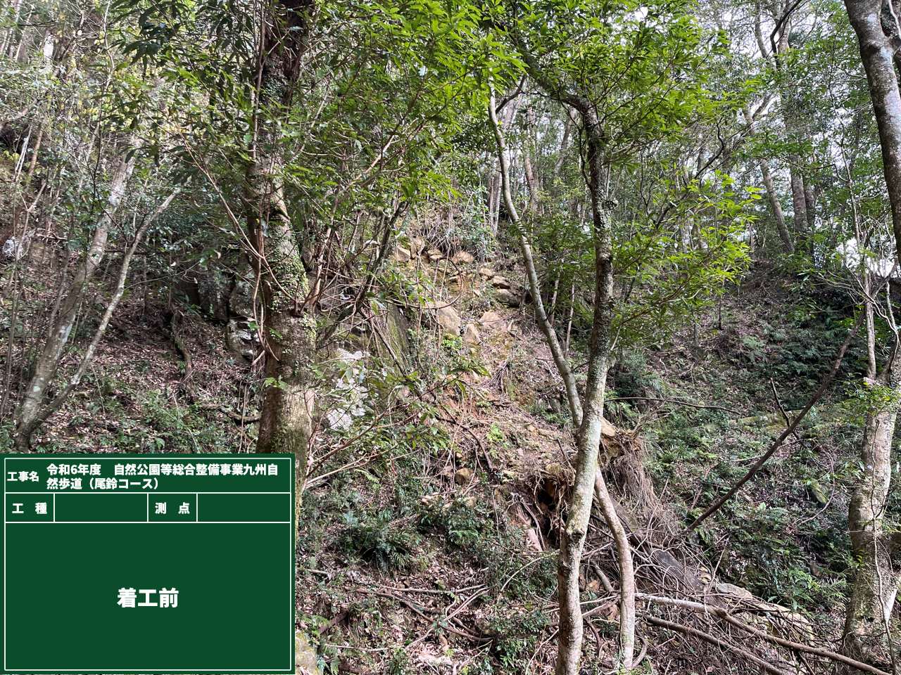 落石防護網工(着手前)