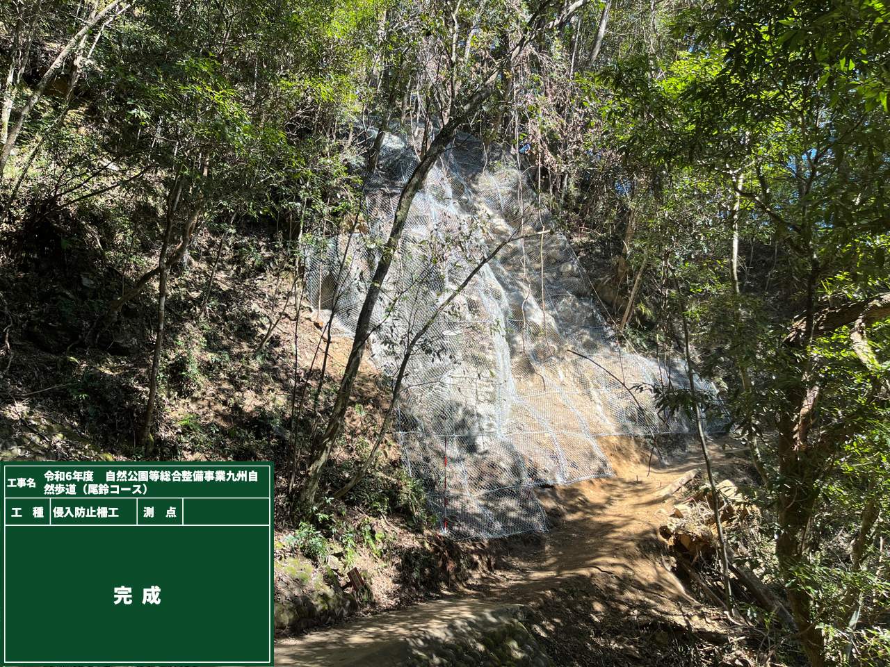落石防護網工(完成)