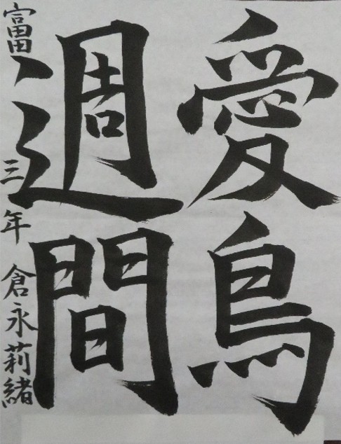 地区審査会銀賞(中学校の部)