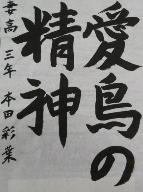 地区審査会銀賞(高等学校の部)