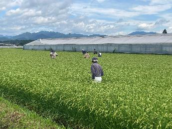 ほ場審査実施風景3