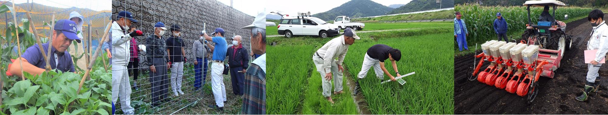 普及センターの活動の様子