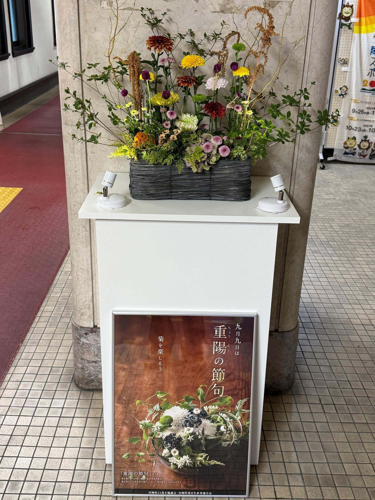 展示の様子