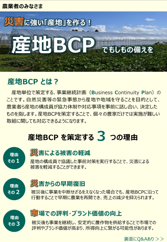 産地BCP推進のためのチラシ