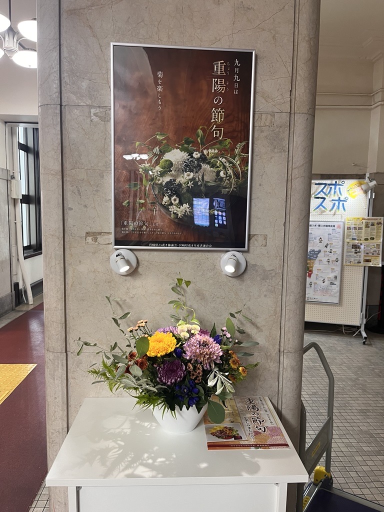 展示の様子