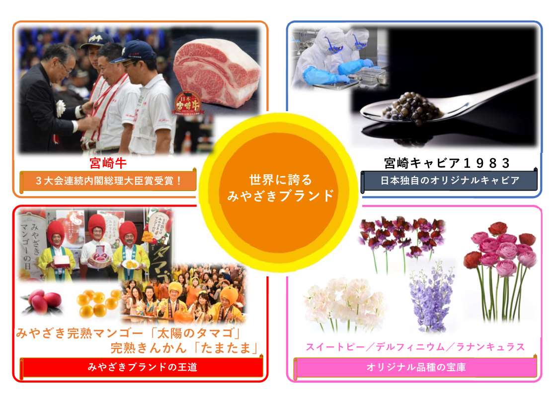 宮崎を代表するブランド農畜産物