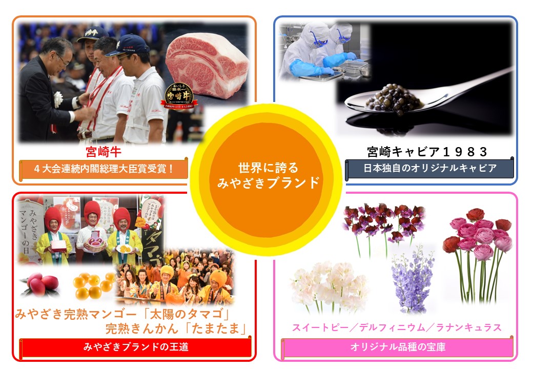 みやざきブランド