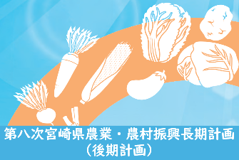 第八次長期計画（後期計画）