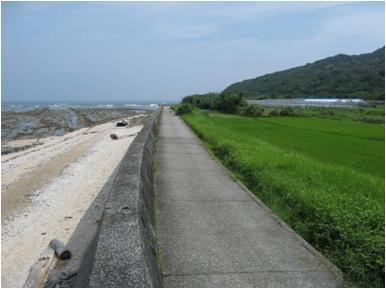 中央に堤防があり左側は海と砂浜があり、右側は田んぼが広がっている写真