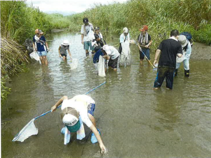 佐土原町田ノ上環境保全会 生き物調査の様子