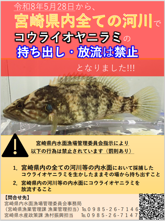 コウライオヤニラミ注意喚起ポスター
