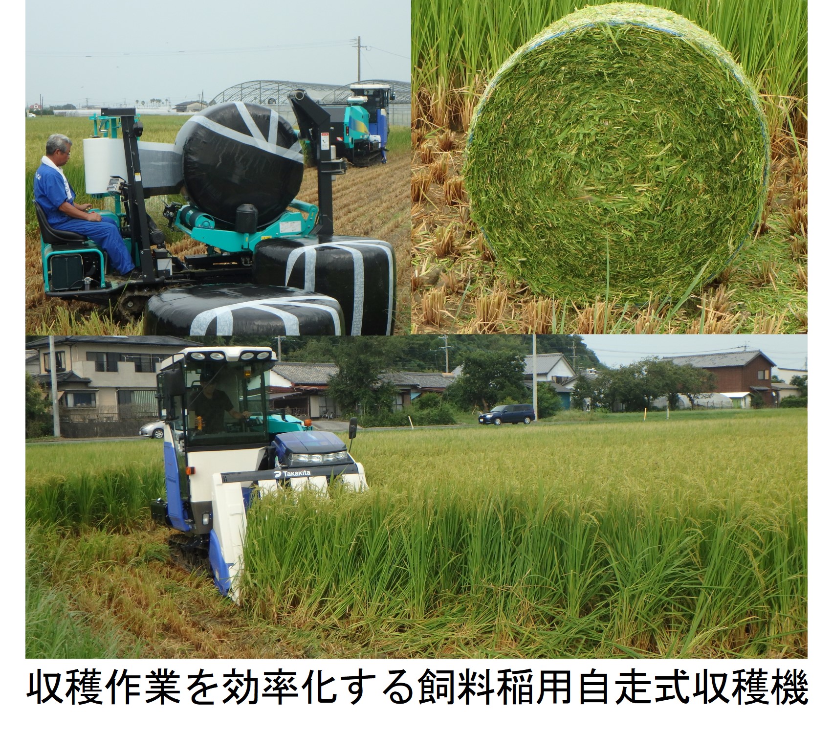 収穫作業を効率化する飼料稲用自走式収穫機