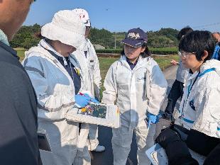 現地を確認する職員