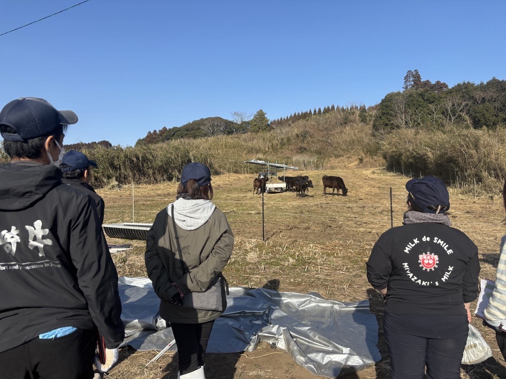 1月の放牧の様子