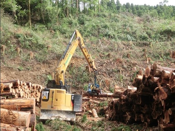 大型機械を活用した林業