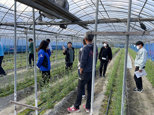 会員ほ場での現地研修の様子