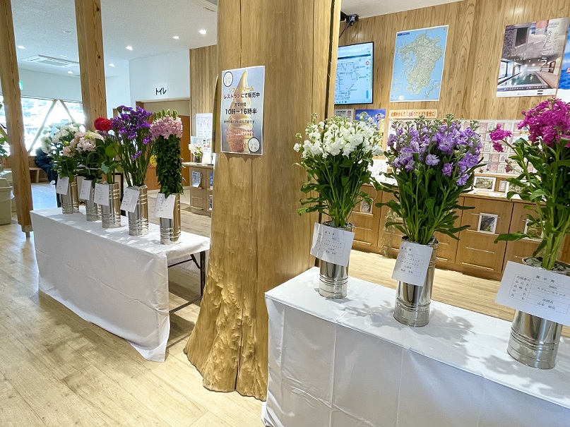 切り花の展示