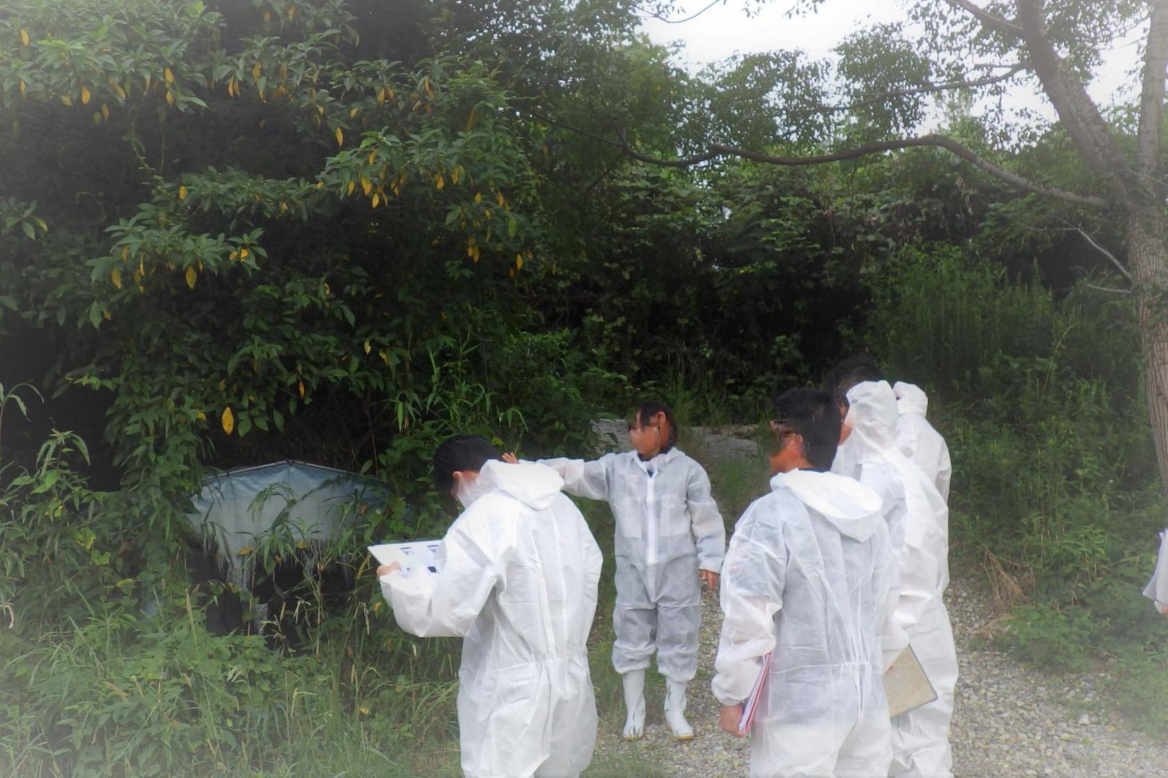 現地演習の様子