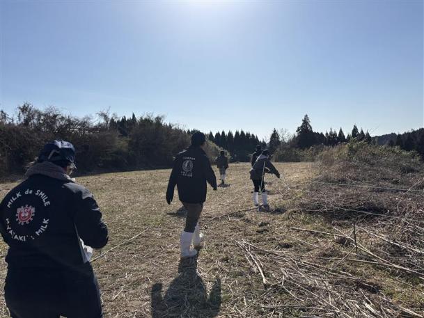 竹の撤去の様子