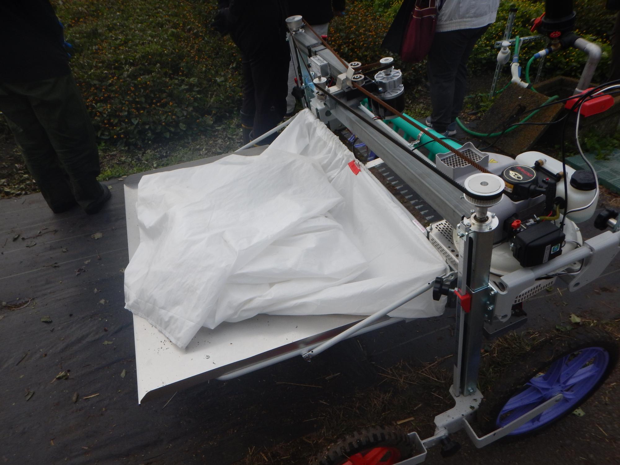 キバナオランダセンニチ収穫機械