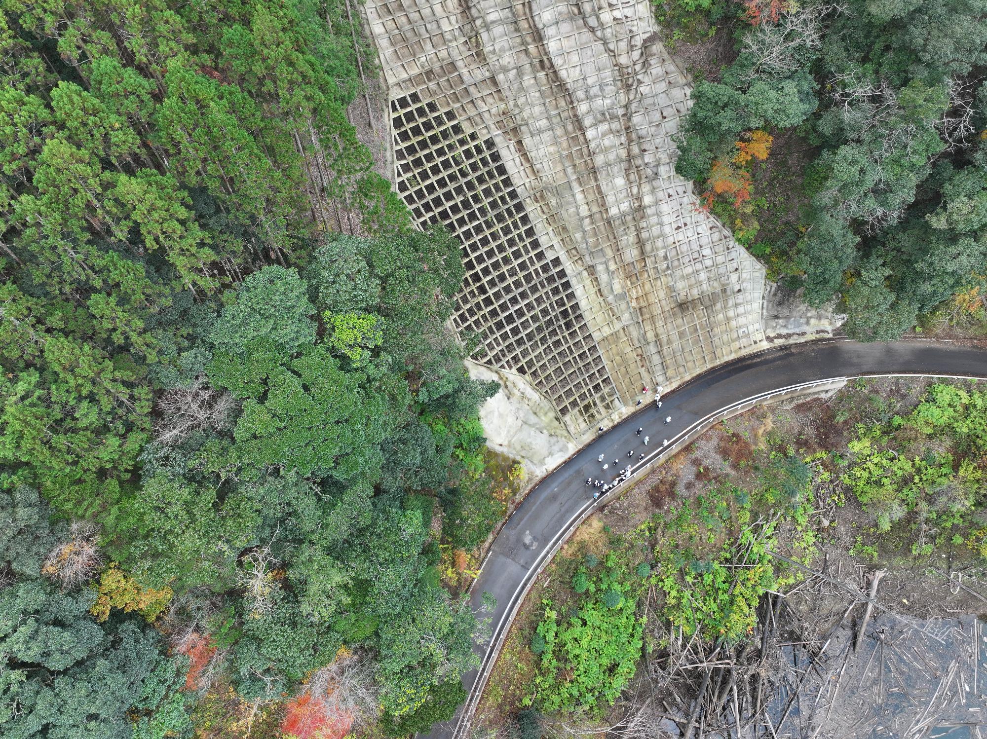 西米良の治山現場