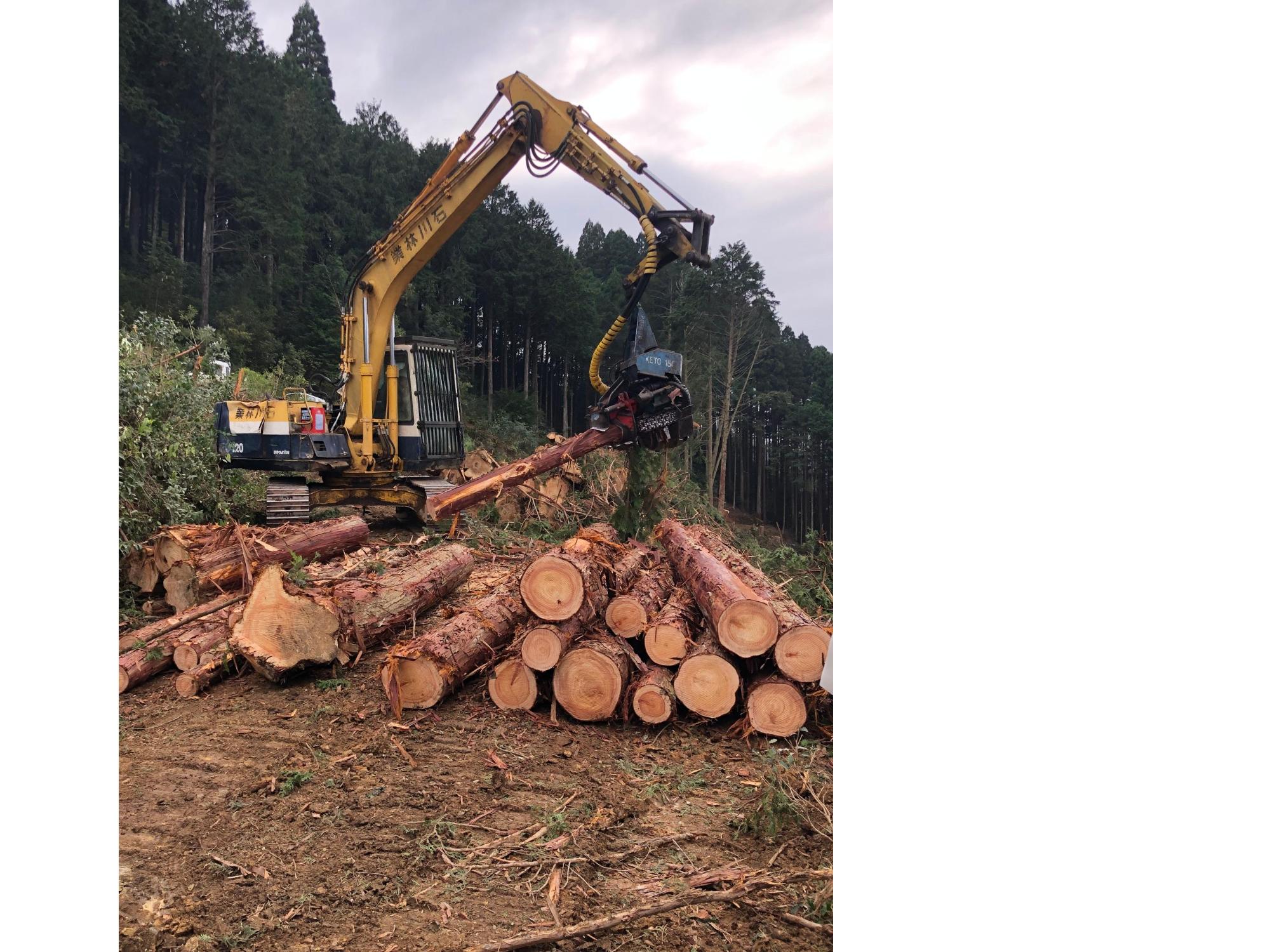 西都の伐採現場～高性能林業機械