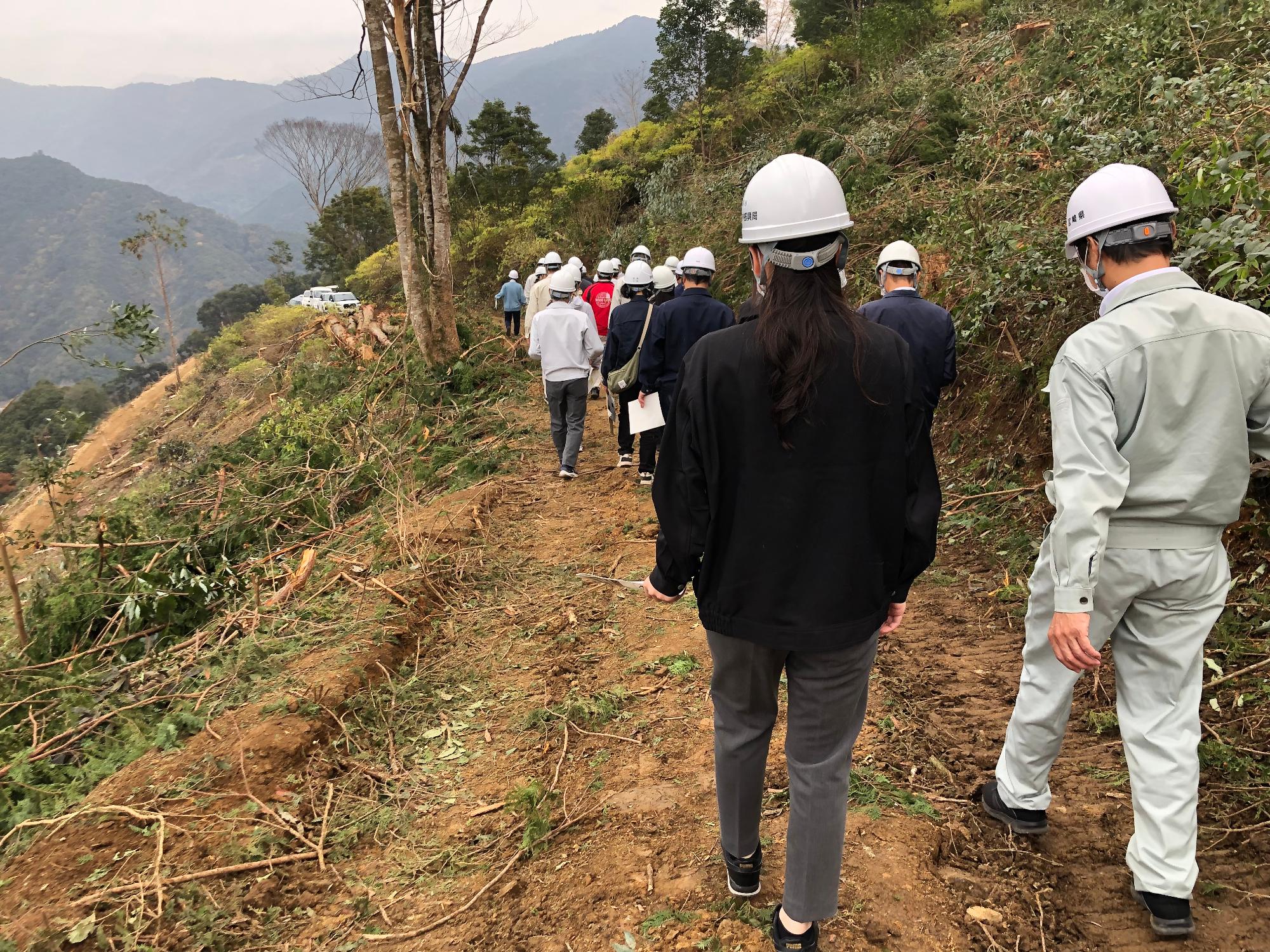 西都の伐採現場