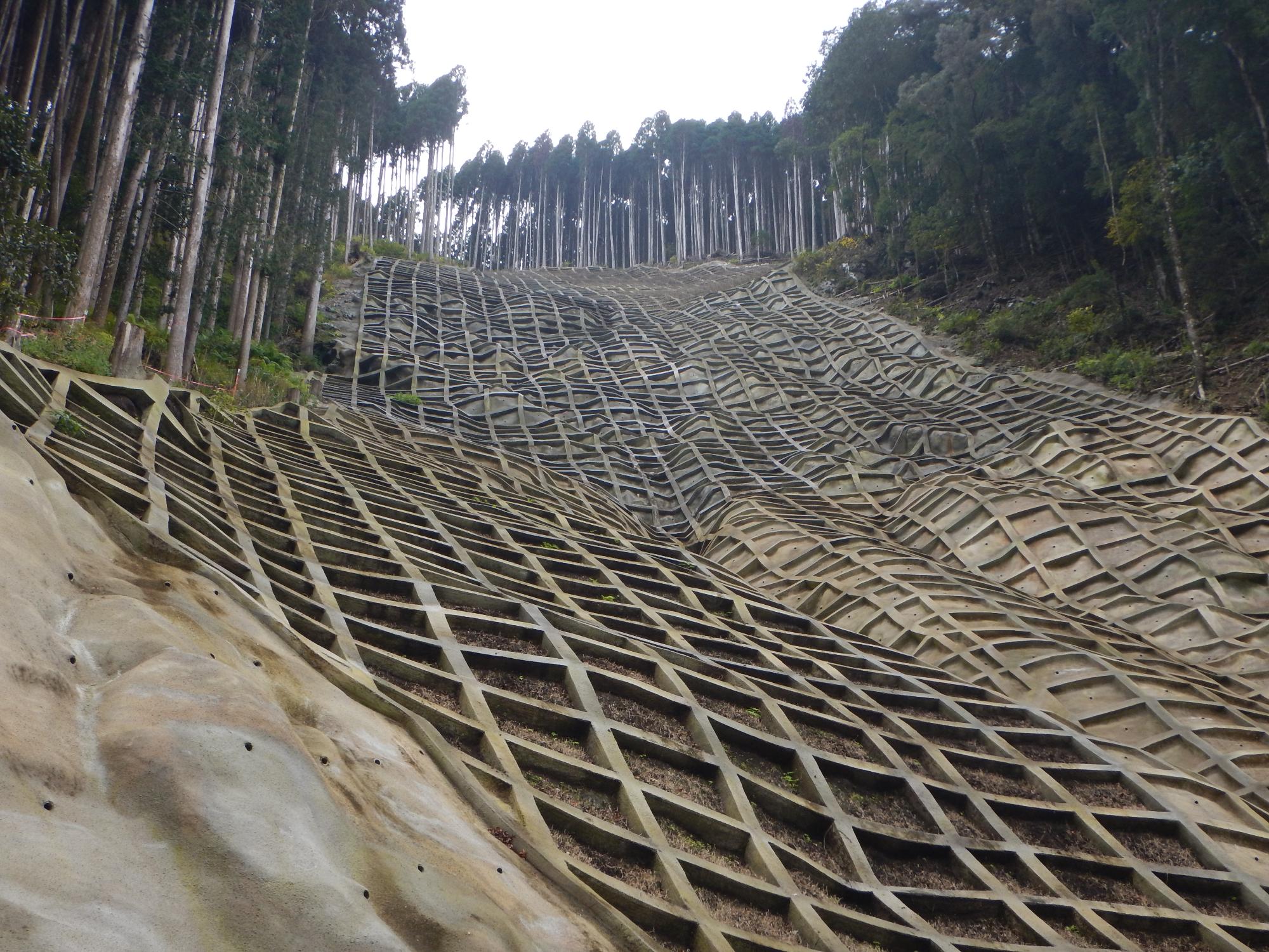 西米良の治山現場