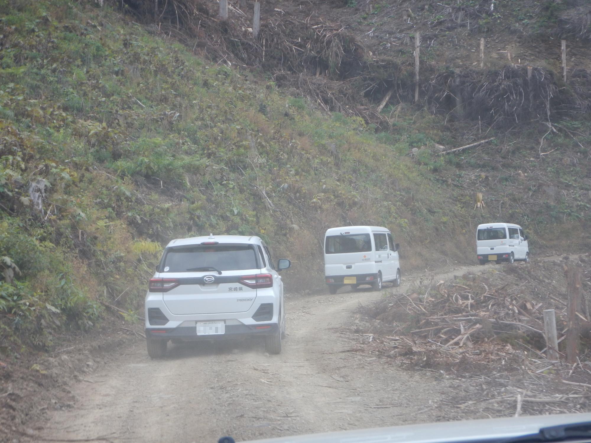 西都の伐採現場