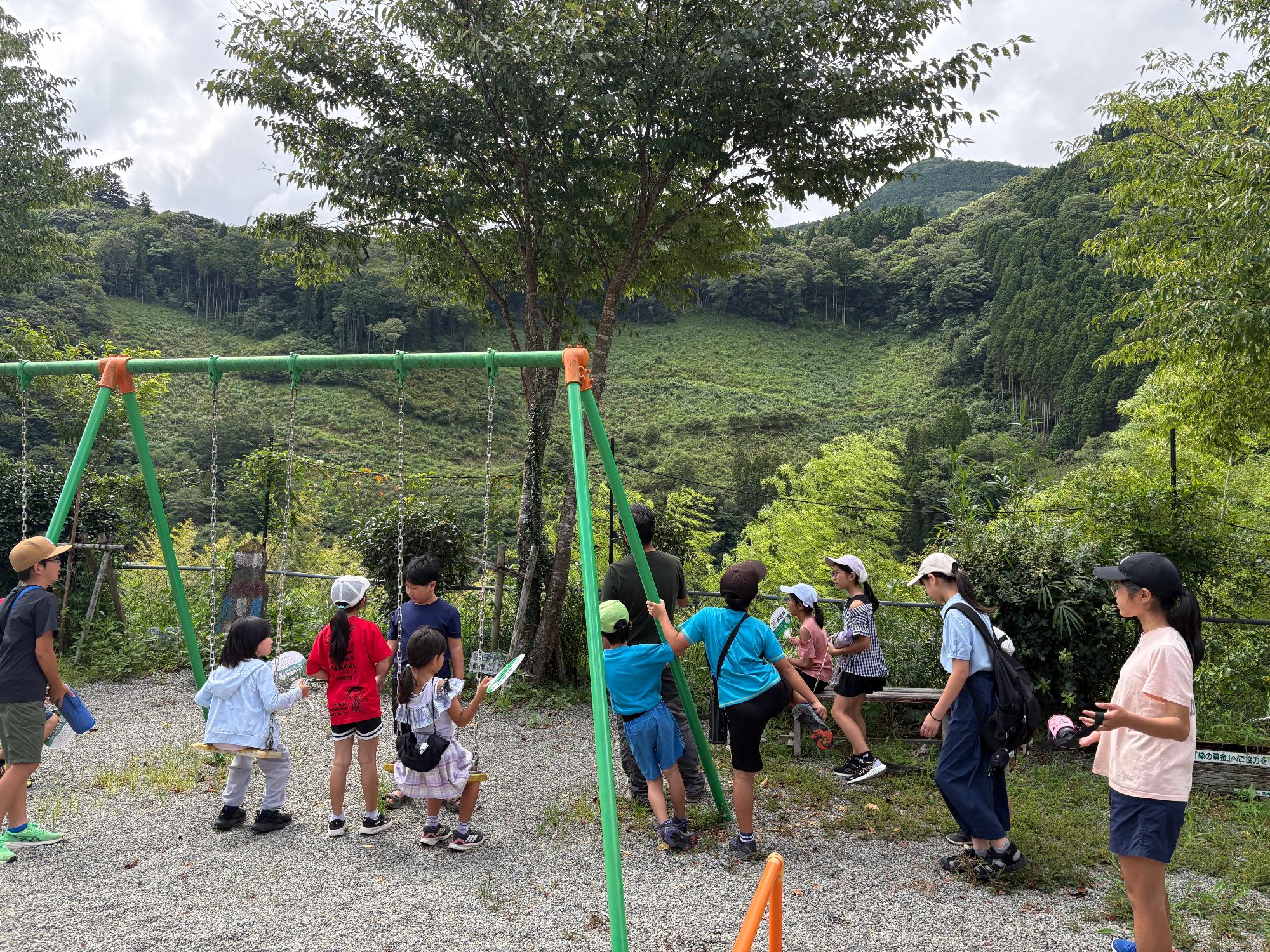 造林地観察