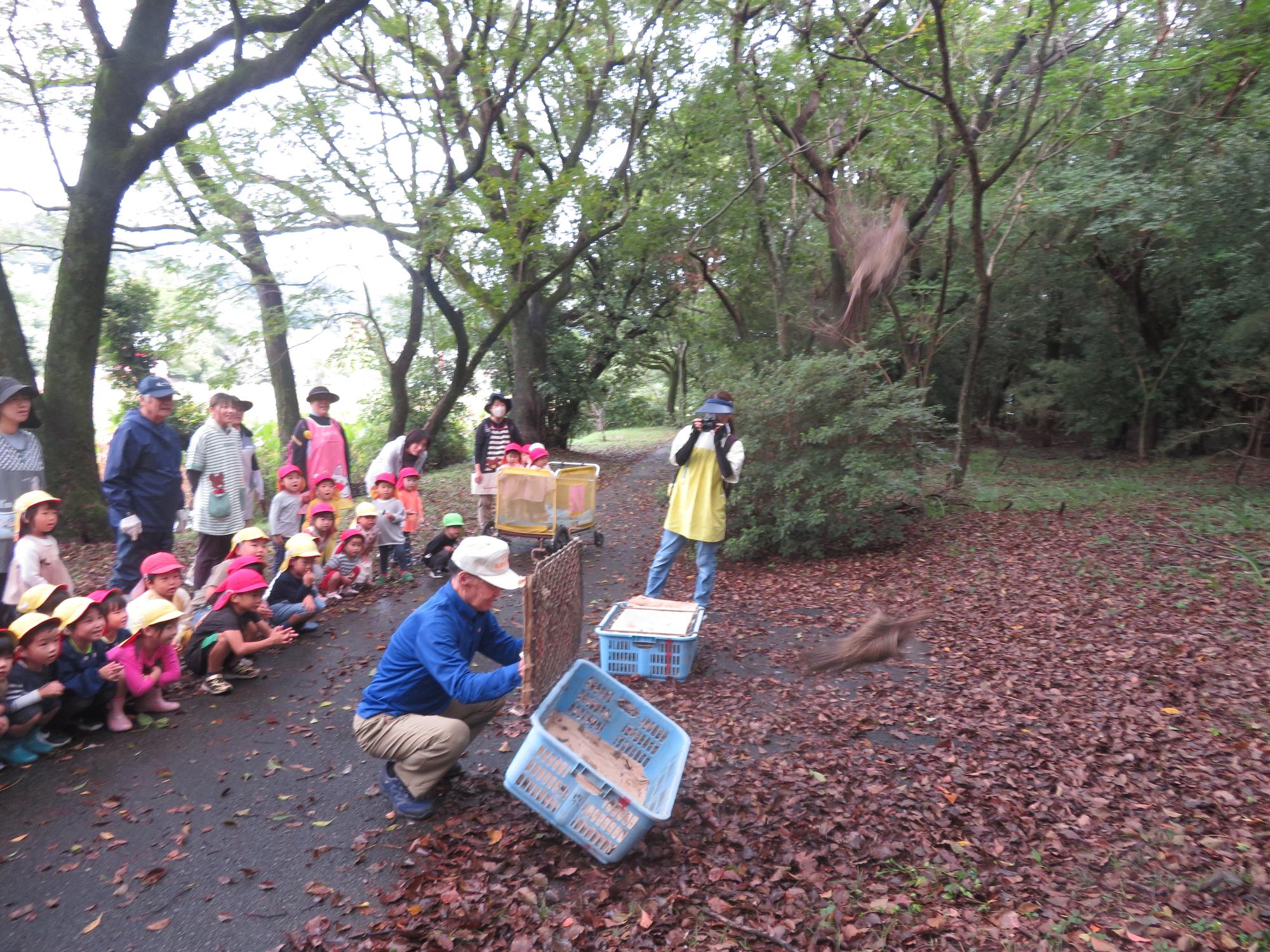 キジ放鳥（新富町）