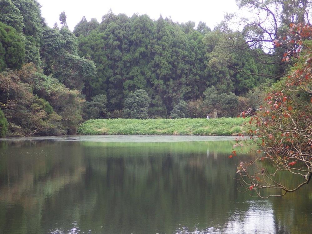 ため池の写真