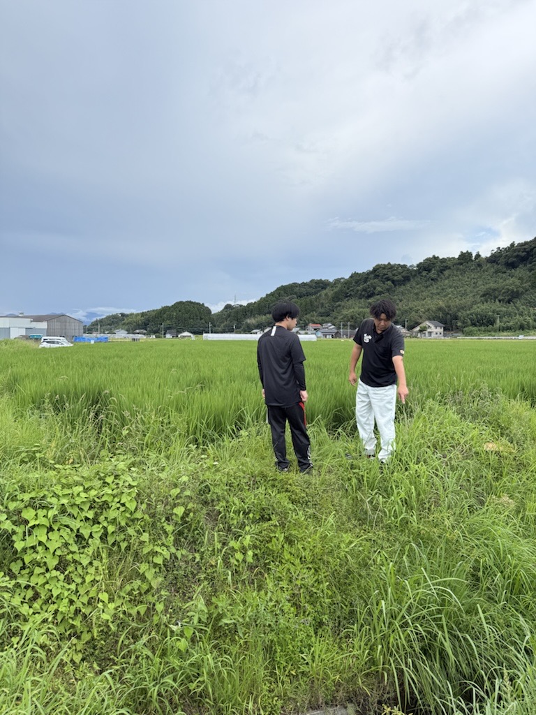 大和地区