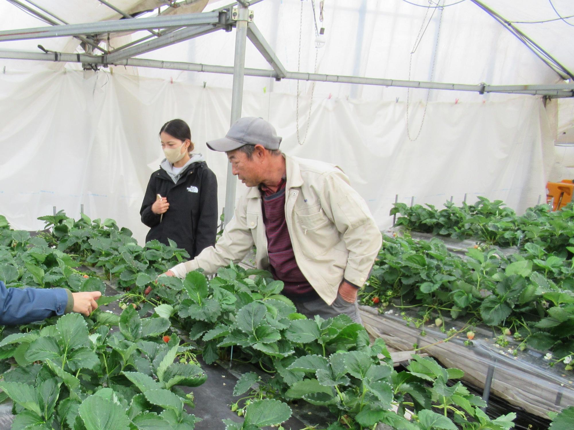 北諸県管内の農業経営指導士と連携した新規就農者の営農支援