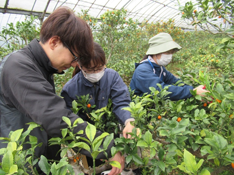 選定技術指導の模様