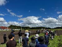 hatakan02