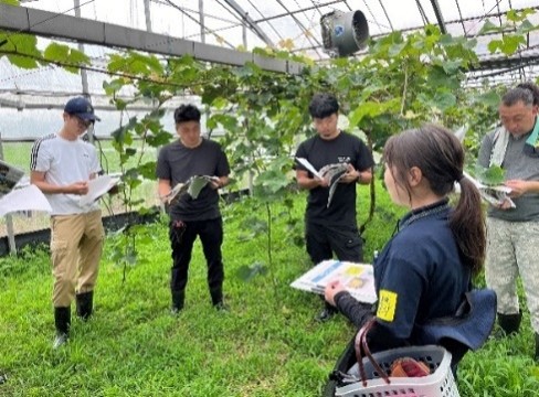 現地検討会の開催