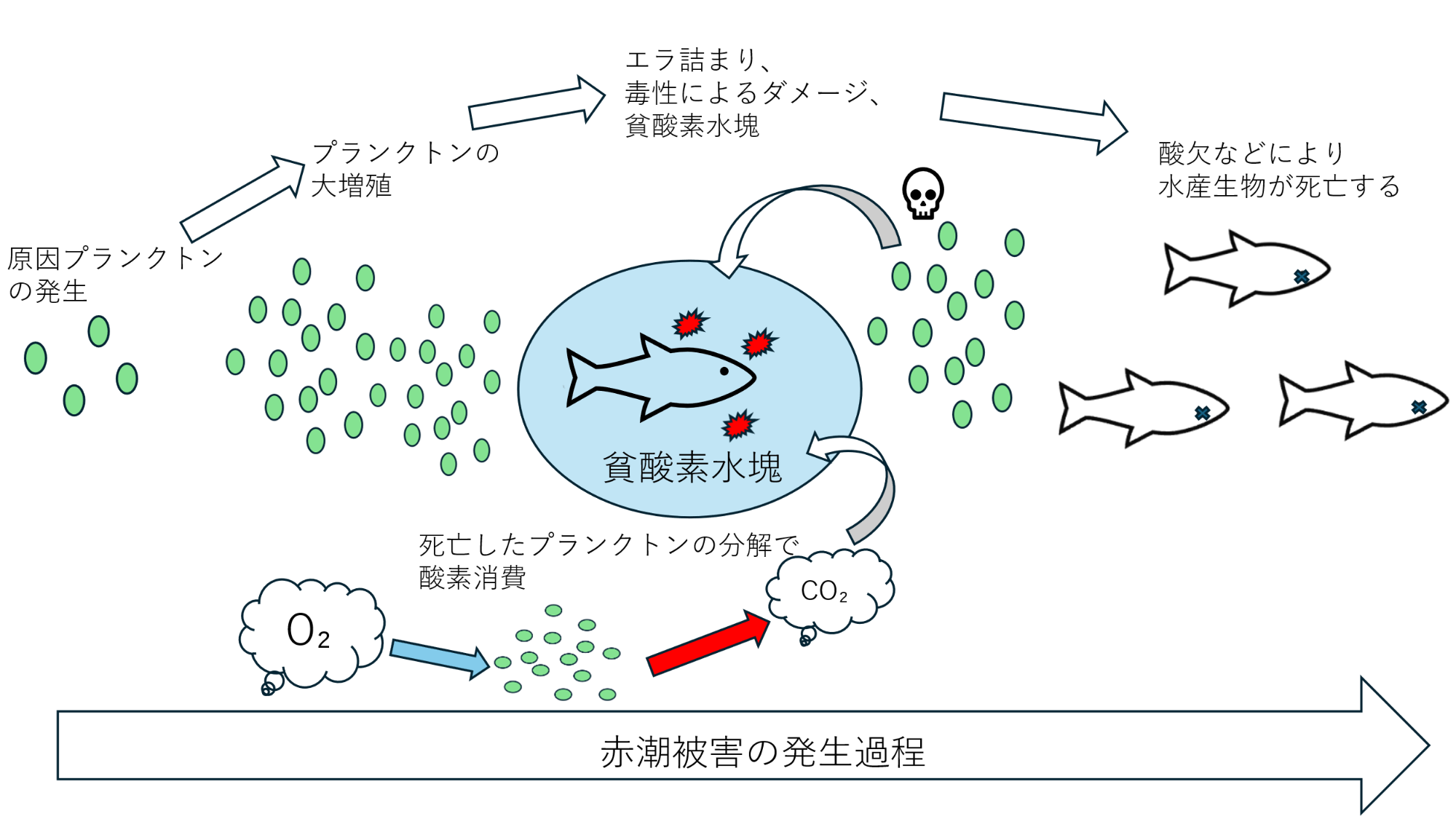 図1.赤潮による被害の発生過程