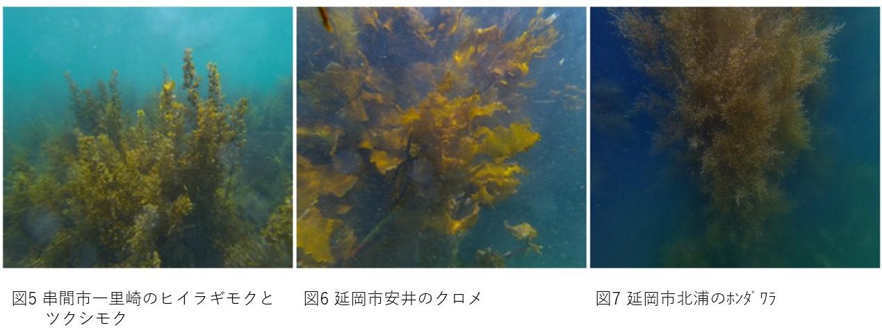No805_図3