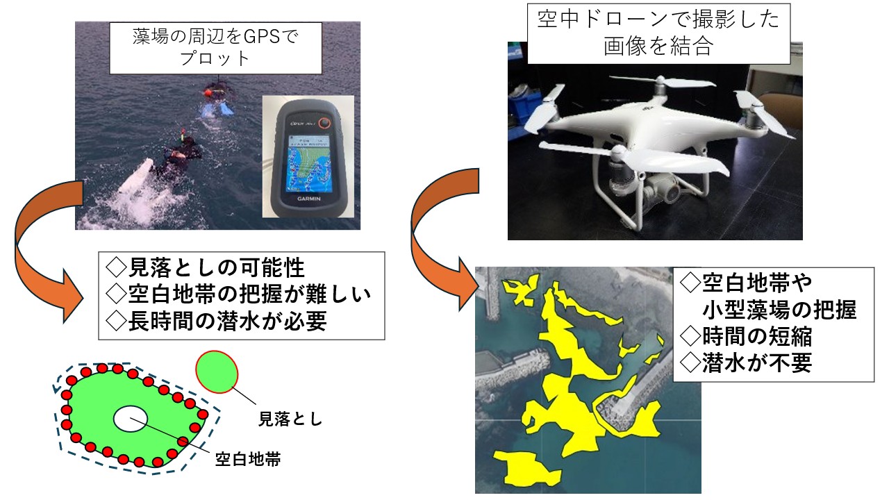 No805_図2