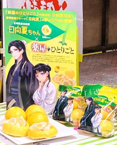 薬屋のひとりごと２