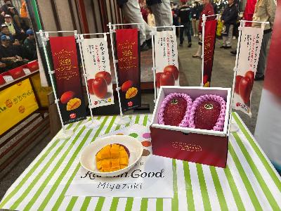 みやざき完熟まんごー「太陽のタマゴ」