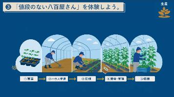 ピーマンができるまでの工程