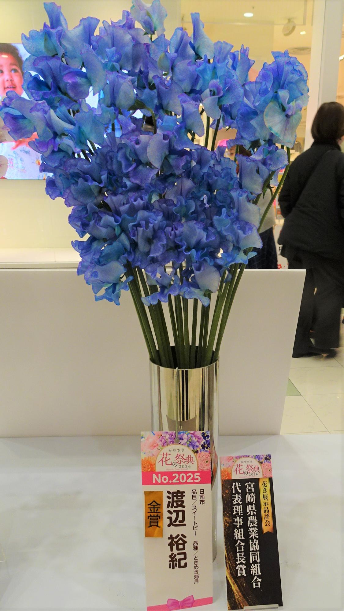 スイートピー（染め）