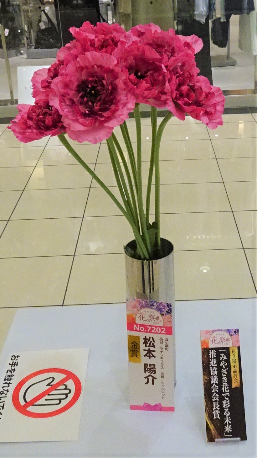 ラナンキュラス